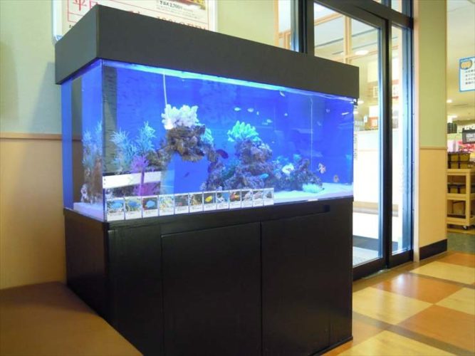 大田区 飲食店様 120cm海水魚水槽 設置事例のサムネイル画像