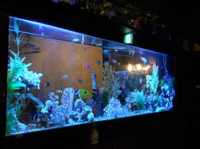 豊島区 飲食店様  150cm海水魚水槽  水槽メンテナンス事例のサムネイル画像