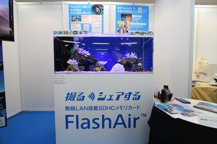 東京都豊島区 サンシャインイベント 水槽設置事例 水槽画像2