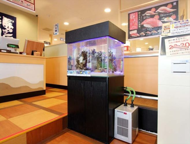 大田区 飲食店様 60cm海水魚水槽 設置事例 メイン画像