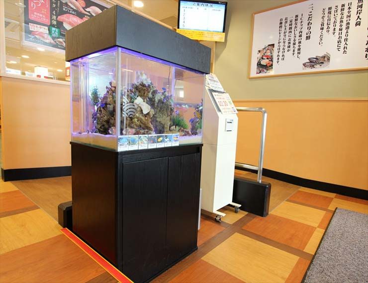 大田区 飲食店様 60cm海水魚水槽 設置事例 水槽画像3