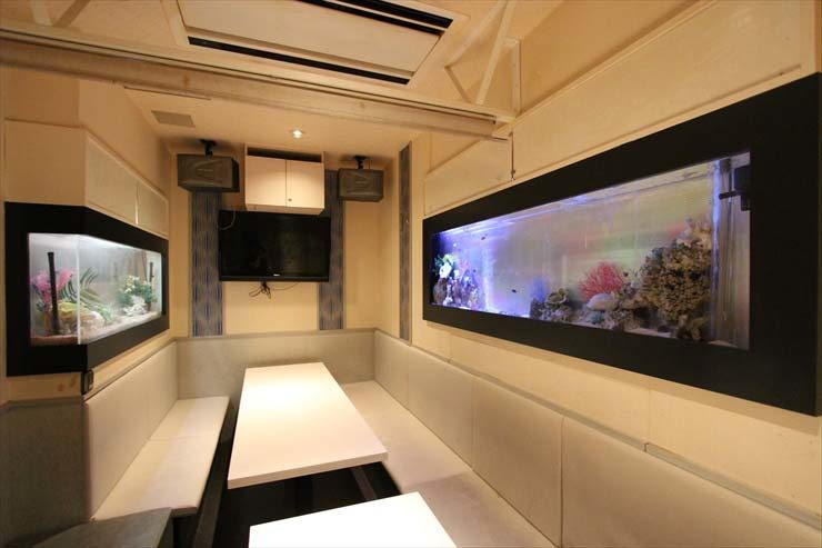 新宿区 飲食店様 150cm海水魚水槽 設置事例 水槽画像2