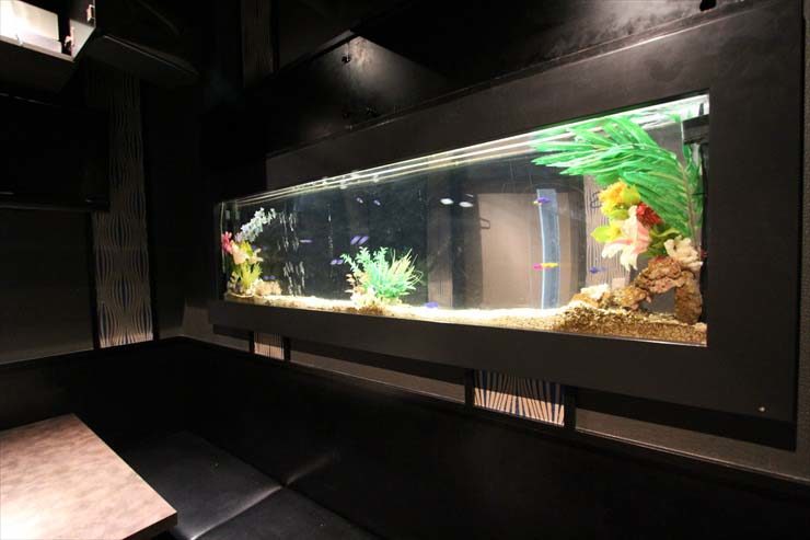 新宿区 飲食店様 150cm海水魚水槽 設置事例 水槽画像3
