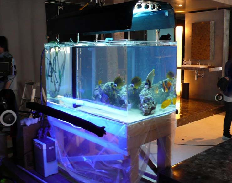 海水魚が泳ぐ大型水槽と上部照明器具の設置風景