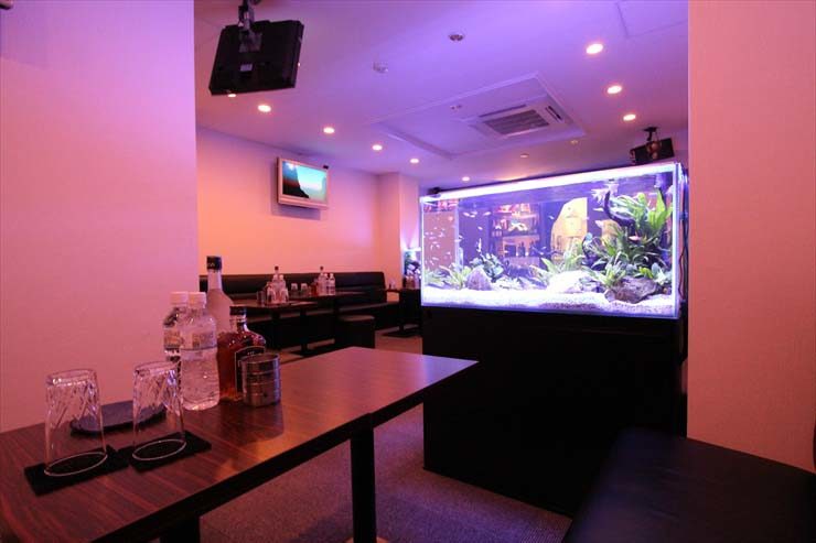 豊島区 飲食店様 90cm淡水魚水槽 設置事例 水槽画像1