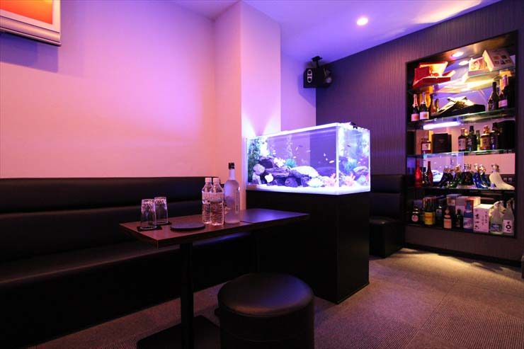 豊島区 飲食店様 90cm淡水魚水槽 設置事例 水槽画像3