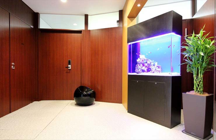 渋谷区 企業様  90cm海水魚水槽  設置事例のサムネイル画像