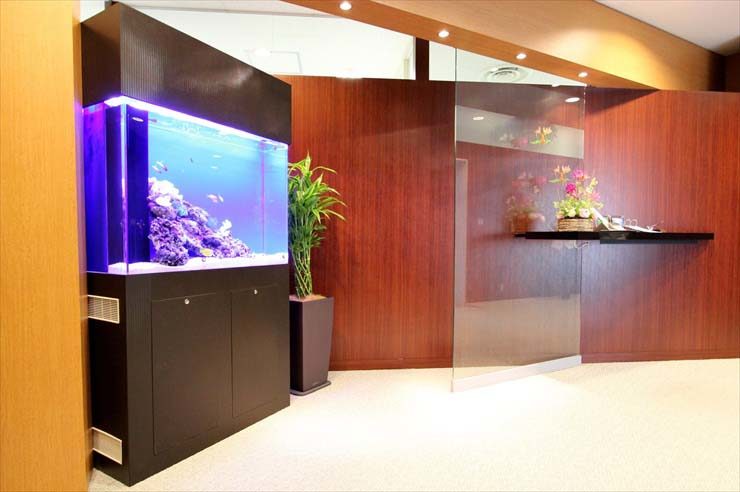 渋谷区 企業様 90cm海水魚水槽 設置事例 水槽画像3