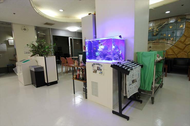 東村山市 施設様 60cm海水魚水槽 設置事例 水槽画像1