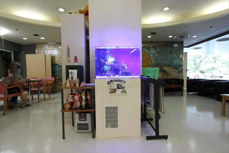 東村山市 施設様 60cm海水魚水槽 設置事例 水槽画像2