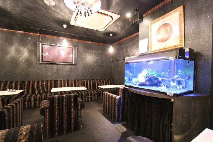 池袋 飲食店様 90cm淡水魚水槽 メンテナンス事例のサムネイル画像