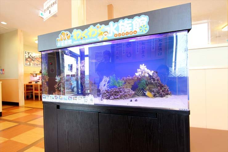 埼玉県越谷市 飲食店様 120cm海水魚水槽 設置事例 水槽画像3