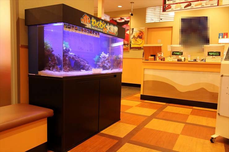 埼玉県大宮 飲食店 120cm海水魚水槽 設置事例 メイン画像