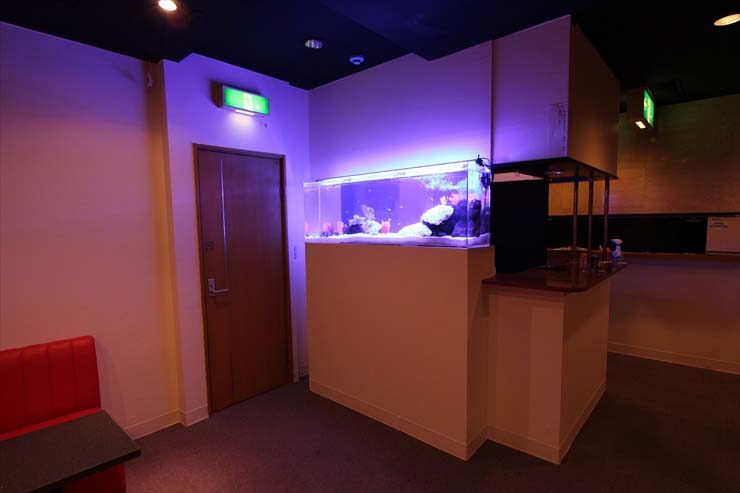 江戸川区 飲食店様 150cm淡水魚水槽 設置事例 メイン画像
