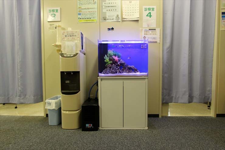 八王子市 クリニック様  60cm海水魚水槽  レンタル事例のサムネイル画像