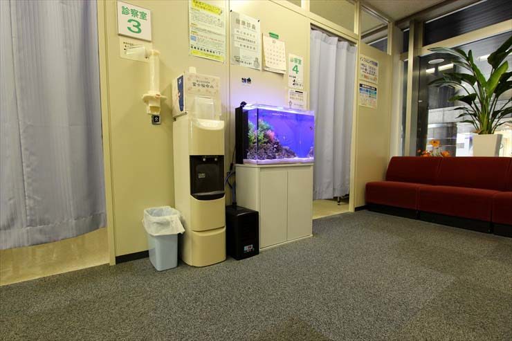 八王子市 クリニック様 60cm海水魚水槽 レンタル事例 水槽画像2
