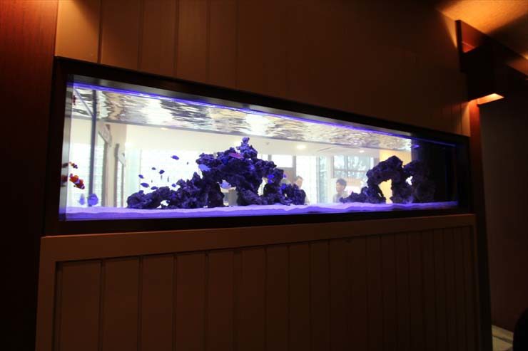 東京都三鷹市 美容院様 200cm海水魚水槽 メンテナンス事例 水槽画像2