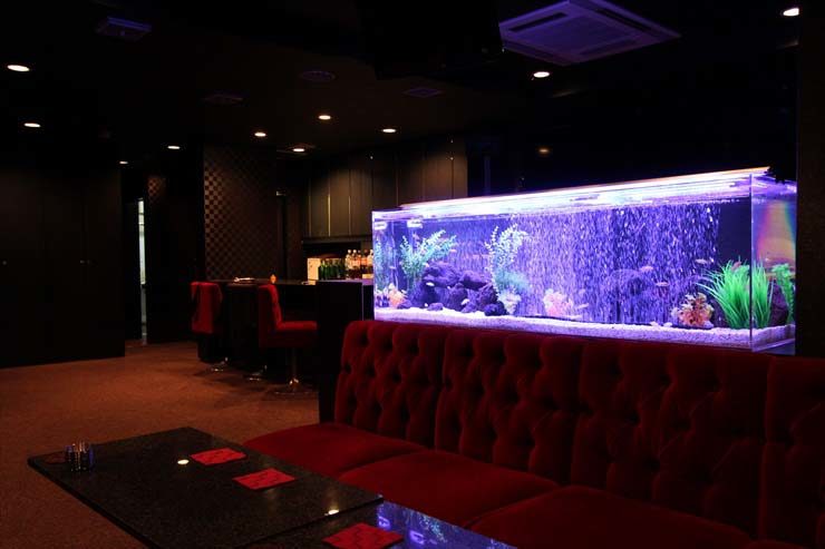 神奈川県横浜市 飲食店様  150cm淡水魚水槽 設置事例のサムネイル画像