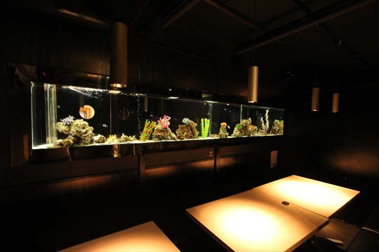 暗い室内に設置された横長の大型海水魚水槽と白いテーブル
