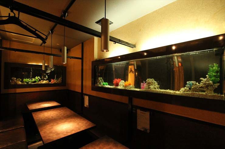 上野 飲食店様 180cm海水魚水槽 設置事例 水槽画像3