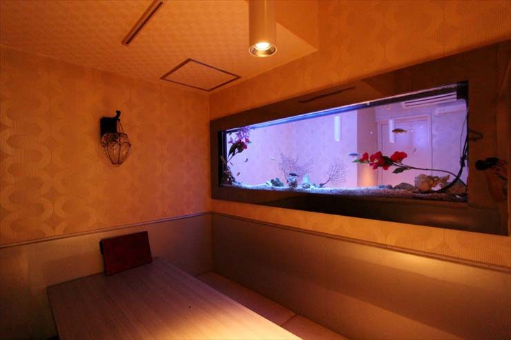 六本木 飲食店様  150cm海水魚水槽  設置事例 メイン画像