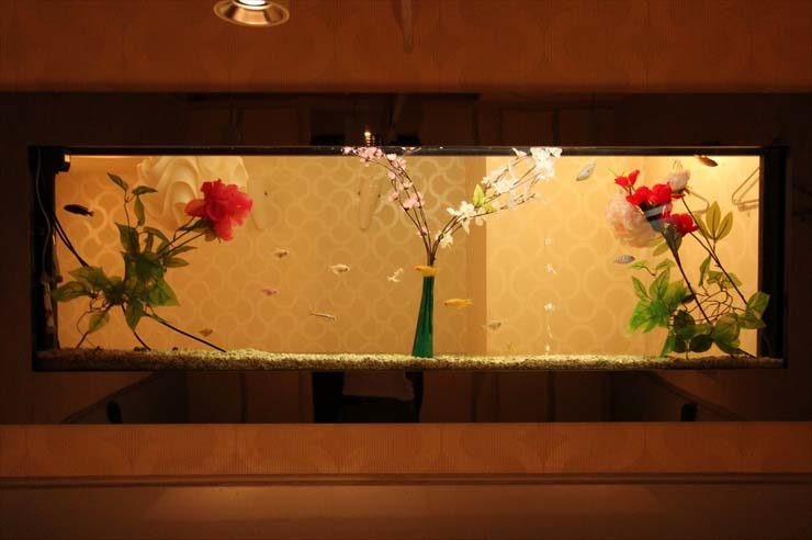 六本木 飲食店様 150cm海水魚水槽 設置事例 水槽画像2
