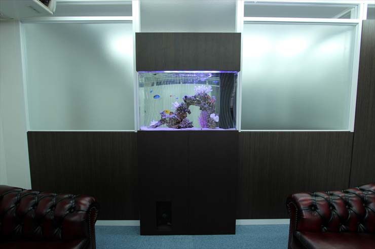 板橋区 企業様 90cm海水魚水槽 設置事例のサムネイル画像