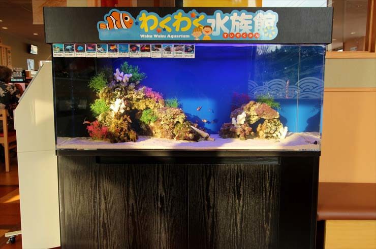 埼玉県上尾市 飲食店様 120cm海水魚水槽 設置事例 水槽画像3