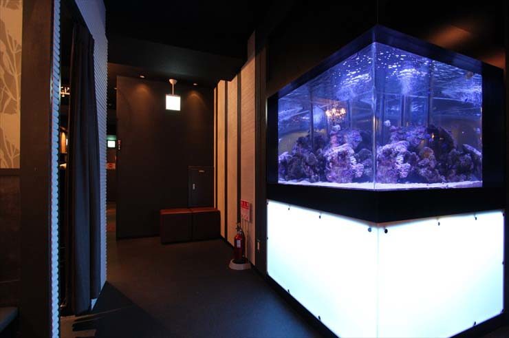 秋葉原 飲食店様 120cm海水魚水槽  設置事例のサムネイル画像