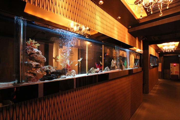 秋葉原 飲食店様 120cm海水魚水槽  設置事例 水槽画像３