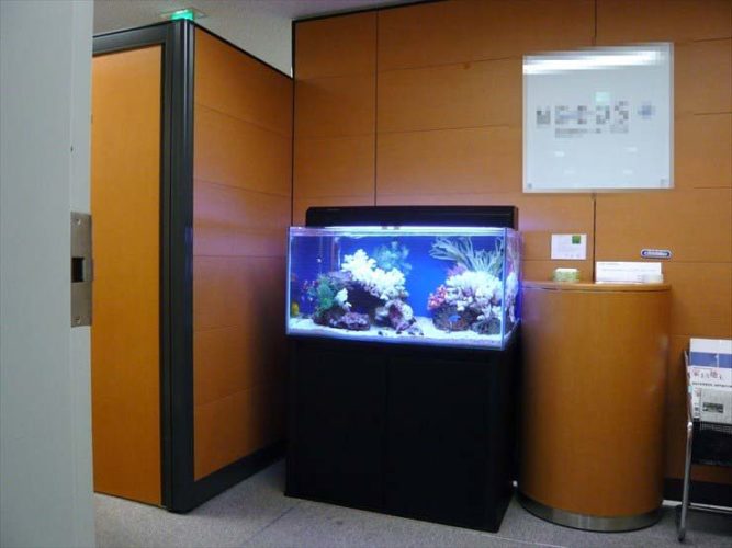 東京都千代田区 企業様 90cm海水魚水槽 設置事例 メイン画像
