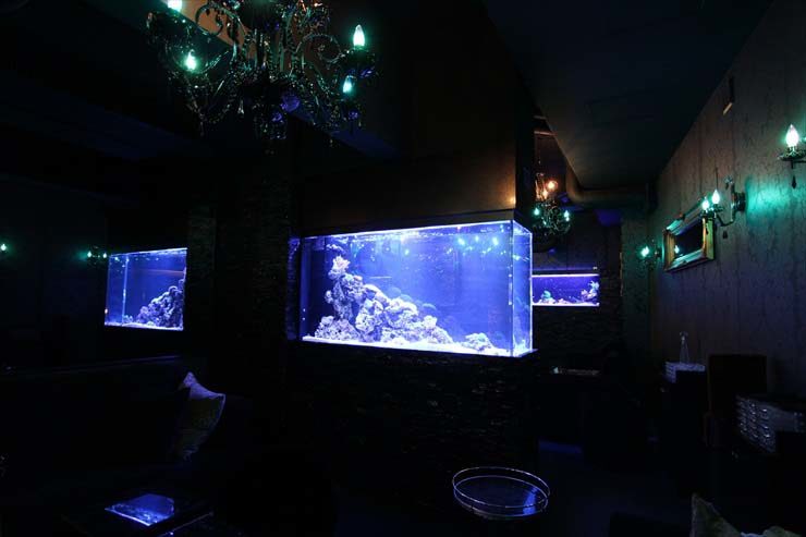 東京都 ファルファーラ様  180cm海水魚水槽  設置事例のサムネイル画像