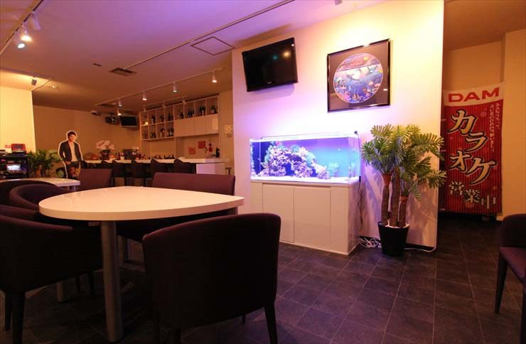 神奈川県横浜市 飲食店様 120cm海水魚水槽 設置事例のサムネイル画像
