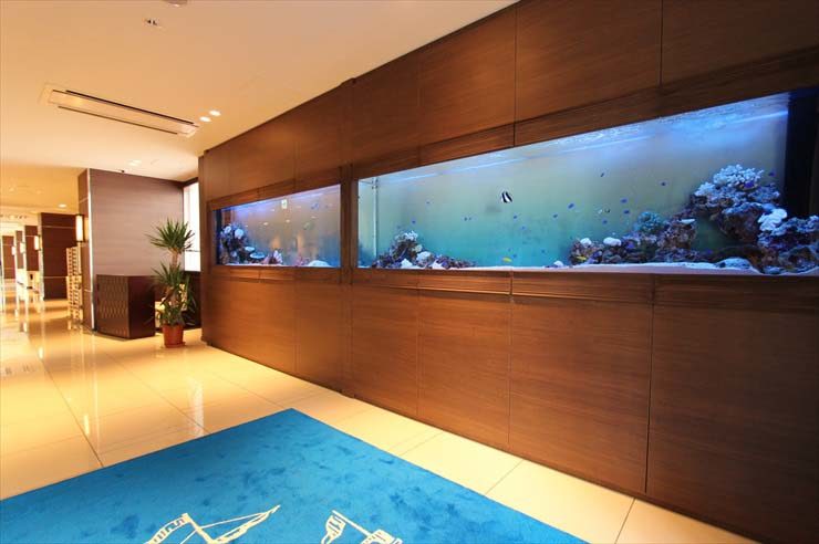 千葉県木更津市 結婚式場様 300cm海水魚水槽 メンテナンス事例 水槽画像1