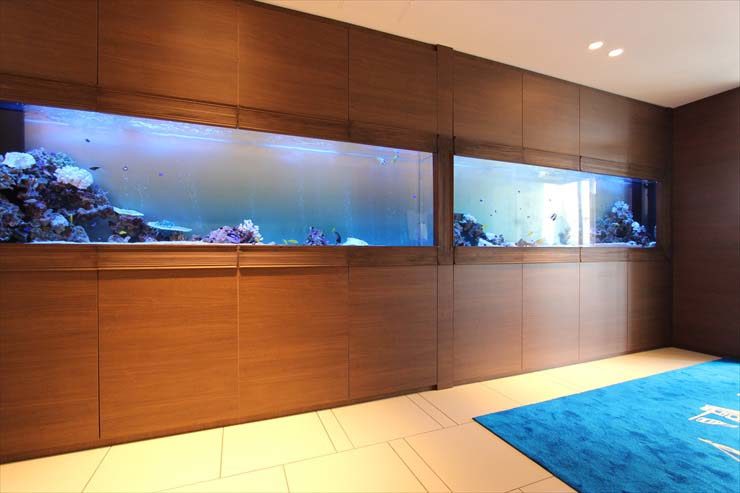 千葉県木更津市 結婚式場様 300cm海水魚水槽 メンテナンス事例 水槽画像2