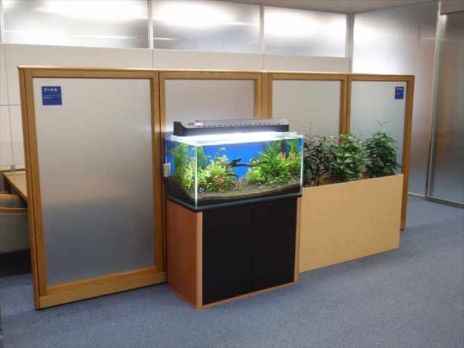 港区 企業様 オフィスの水槽レンタル事例 90cm淡水魚水槽のサムネイル画像