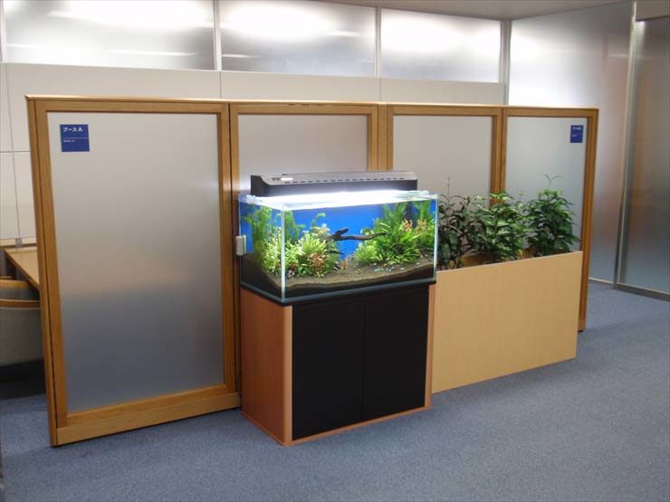 港区 企業様 オフィスの水槽レンタル事例 90cm淡水魚水槽 水槽画像1