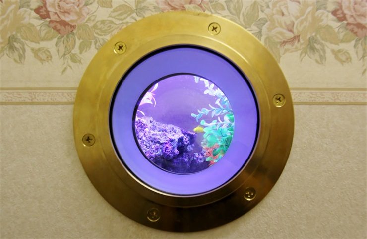 板橋区　こどもクリニック　60cm海水魚水槽　水槽リース事例 水槽画像３