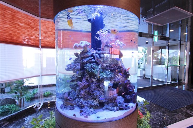 ロビーに設置された円柱型の海水魚水槽とサンゴ岩のレイアウト