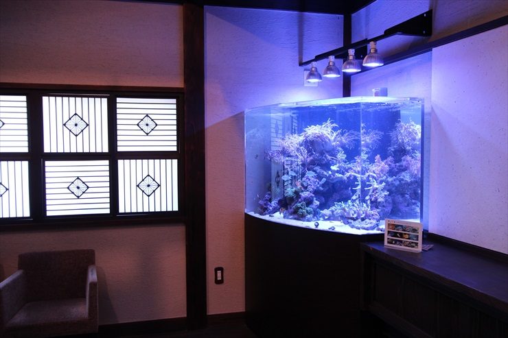 神奈川県 川崎市 料亭 特殊海水魚水槽 設置事例 水槽画像1