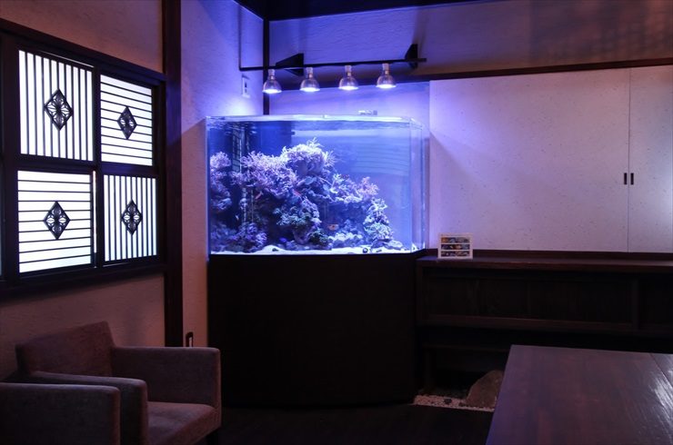 神奈川県 川崎市 料亭 特殊海水魚水槽 設置事例 水槽画像2