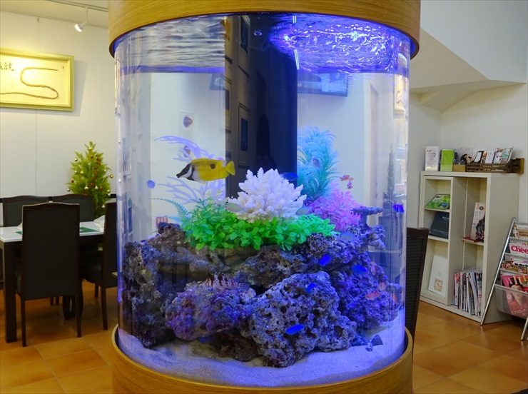 オフィスの待合室 60cm海水円柱水槽 リース事例 水槽画像3
