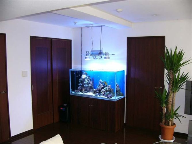 豊島区 個人宅様 120cm海水魚水槽 設置事例のサムネイル画像