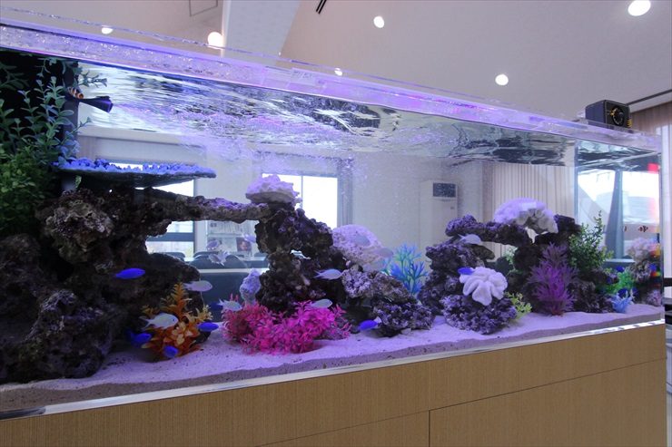 オフィス内中央 150cm海水魚水槽 設置事例 水槽画像3