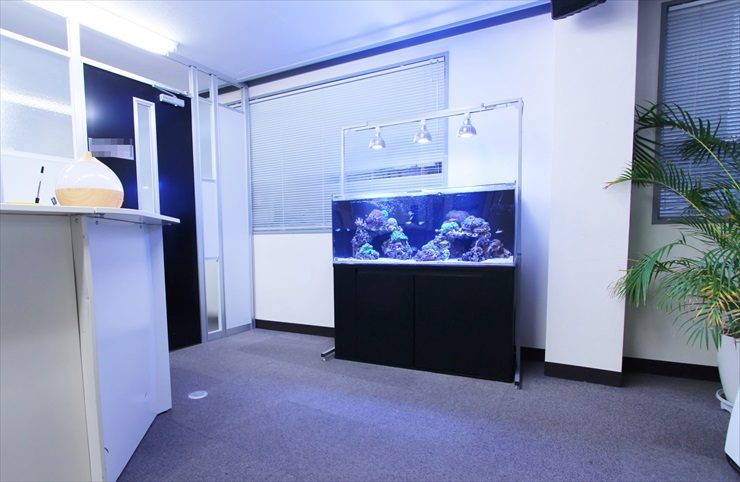 千葉県船橋市　オフィスの受付　120cm海水魚水槽　レンタル事例のサムネイル画像