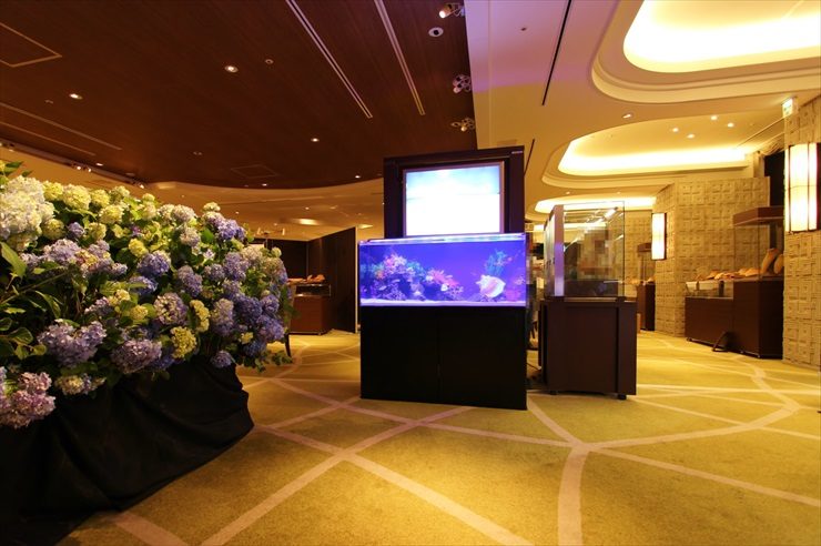 短期イベント　120cm海水魚水槽　設置事例のサムネイル画像