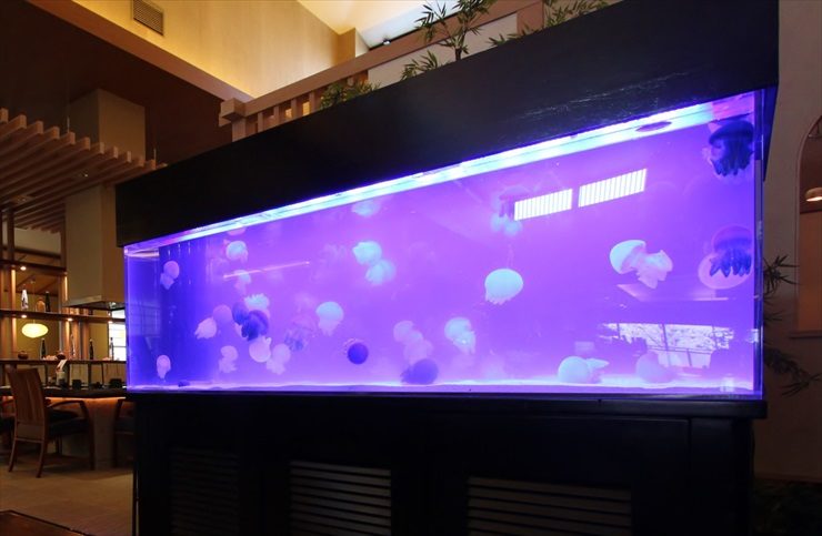 湯けむりの庄様　期間限定イベント　大型クラゲ水槽　設置事例のサムネイル画像