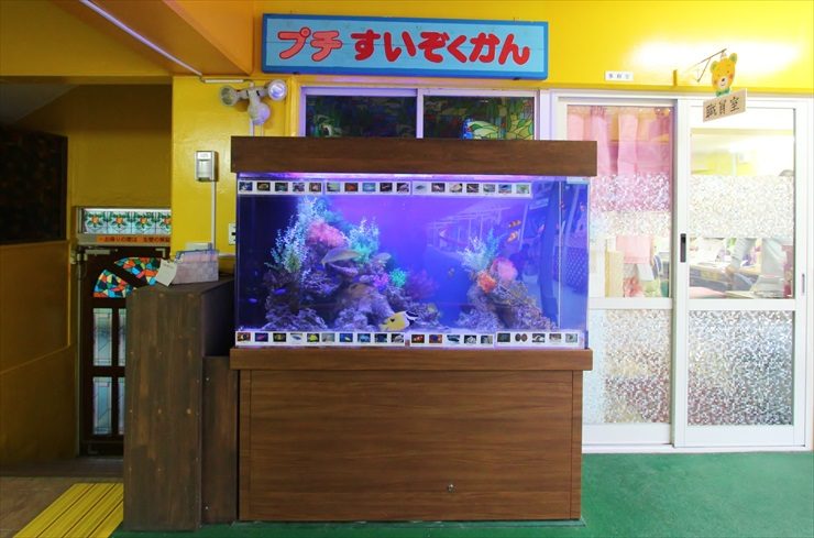 浦和めぐみ幼稚園様 150cm海水魚水槽 販売・設置・メンテナンス事例のサムネイル画像