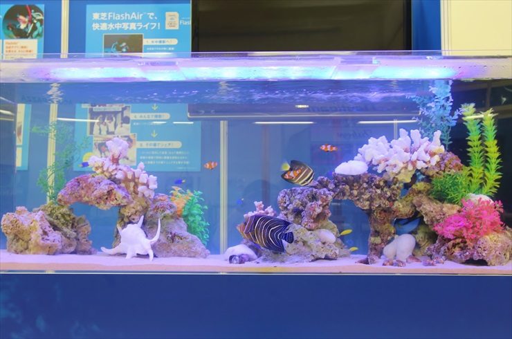サンシャイン短期イベントに設置をした華やかな大型海水魚水槽 水槽画像3
