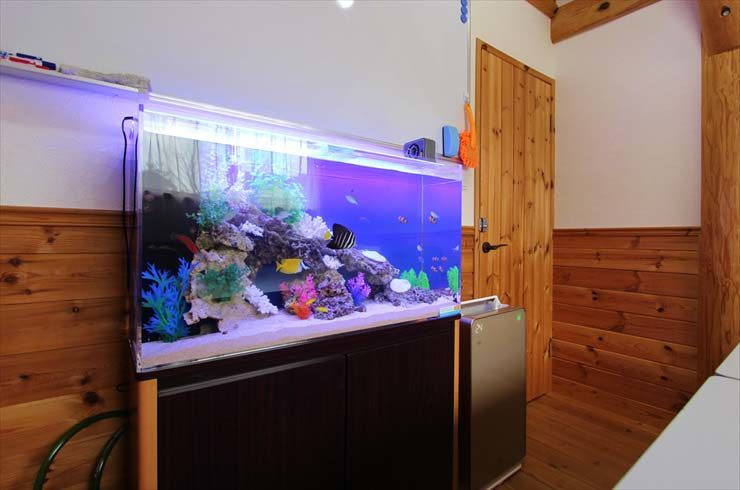 木目調の部屋に設置された海水魚水槽と黒い水槽台
